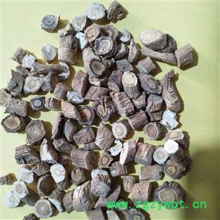 板蓝根 板蓝根大选段0.8新货无硫纯干 产地 山东省图3