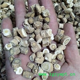 板蓝根 板蓝根大选段0.8新货无硫纯干 产地 山东省图4