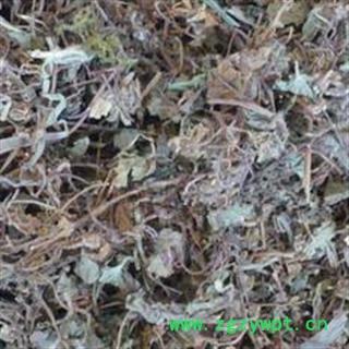 小丽百草行中药材芨芨草 枳芨草、积机草、枳机草、席箕草积药草图2