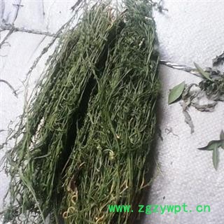 新辉药业百蕊草 一棵松 地石榴图2