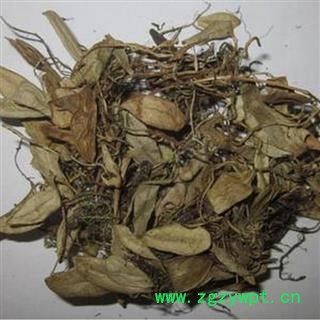 抱石莲 别明鱼鳖金星、瓜子金、石瓜子、金星草、瓜米菜、肉石斛、抱树莲 鱼鳖草  华安堂图2