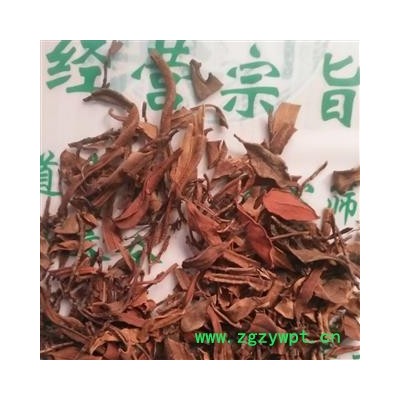 安祁名药正品抱石莲  鱼鳖草 金丝鱼鳖