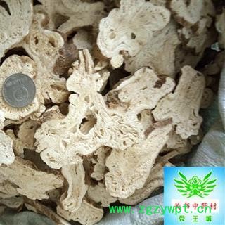 白术 白术  选片手捏片   新货有蜂窝 3年生白术 产地 浙江省杭州市图2