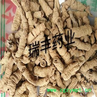 巴戟天 大统装 产地 广东省图2