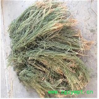 芝春堂中药材批发零售供应冷背正品优质无硫百蕊草百乳草支持验货图4