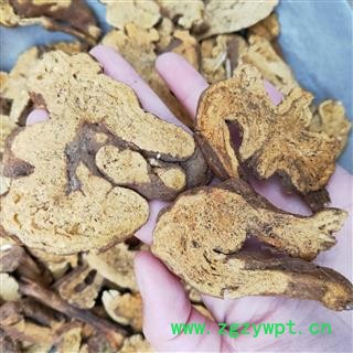 白术 2年麸炒白术长片大统片2.0 产地 安徽省图2