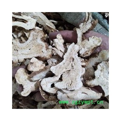 新到2年白术好统货。货合适价格漂亮干净无碎渣