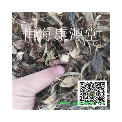 恒海康源堂 鱼鳖草 瓜子菜 金星草  抱树莲 飞连草 金龟藤