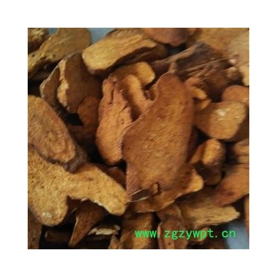 白术 河北炒白术  小选片 产地 河北省