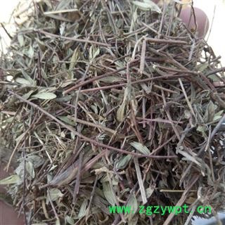 百里香 蚊子草  新货一手货源大货可供图2