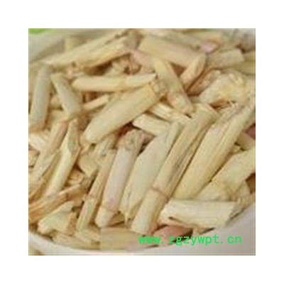 白茅根片段1000克促销批发 白茅根选段 产地 安徽省亳州市