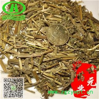 世元药业 夏至草  白花夏枯草 白花益母 灯笼棵 风轮草 小益母草 假茺蔚 假益母草 风车草图2