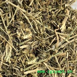 百蕊草  百乳草、小草、细须草、青龙草 段 百蕊草统货 产地 河北省邢台市图4