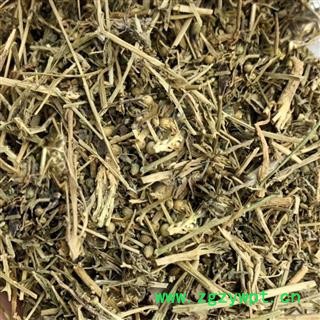 百蕊草  百乳草、小草、细须草、青龙草 段 百蕊草统货 产地 河北省邢台市图2