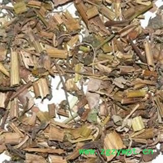 诺源药材行中药材白屈菜 地黄连 牛金花 断肠草  另有白屈菜根图4