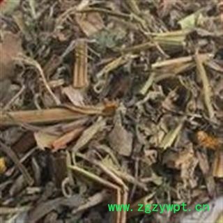 诺源药材行中药材白屈菜 地黄连 牛金花 断肠草  另有白屈菜根图2