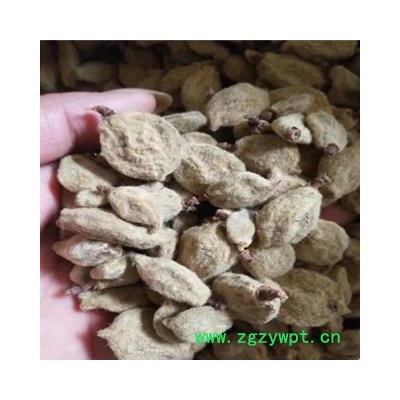 诺源药材行中药材碧桃干  瘪桃干 桃奴 阴桃子