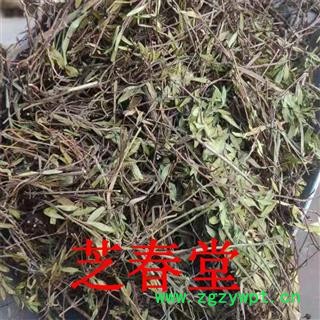 供应中药材百里香养生膳食原料 地椒 地花椒 山椒 山胡椒 优质香料图4