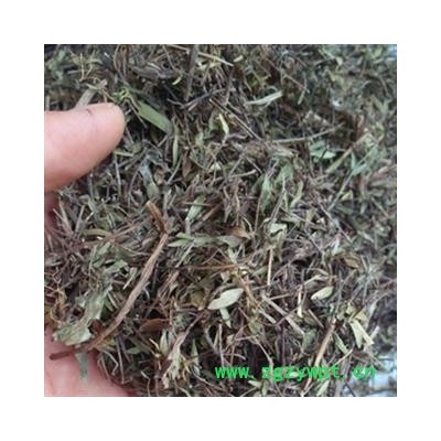 安祁名药中药材正品百里香 地椒