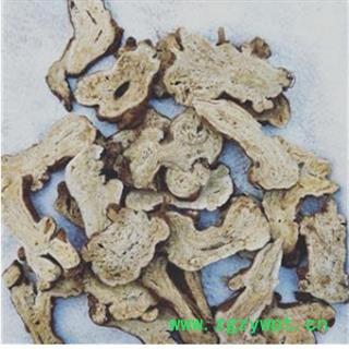 白术 两年生大统 产地 安徽省亳州市谯城区图2