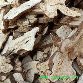 白术 两年生大统 产地 安徽省亳州市谯城区图3