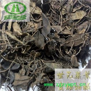 世元药业 抱石莲 正品 别称-风不动 鱼鳖草 金丝鱼鳖 山豆爿草 抱树莲图2