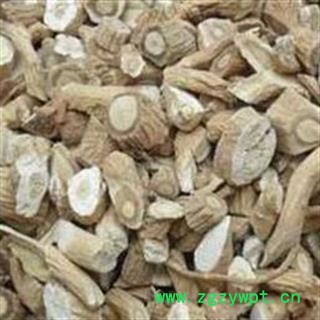 板蓝根 板蓝根无硫中选段 均匀 干度好  产地 山东省图2