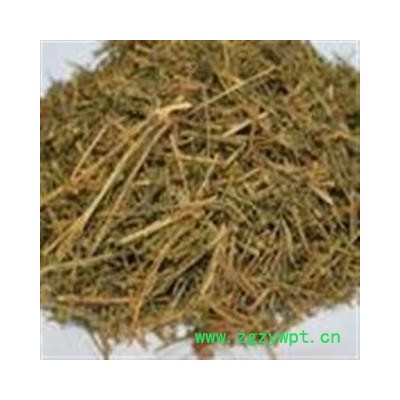 小丽百草行 百蕊草 百乳草 地石榴 细须草 青龙草