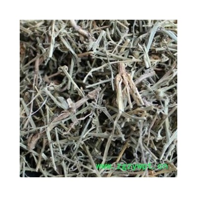 安祁名药中药材百蕊草  青龙草  细须草