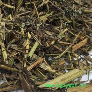 吉康药业 白屈菜  断肠草 土黄连 牛金花 八步紧 大茶药 大炮夜 野蔓图2