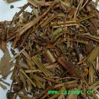 白屈菜 统 产地 河北省图2