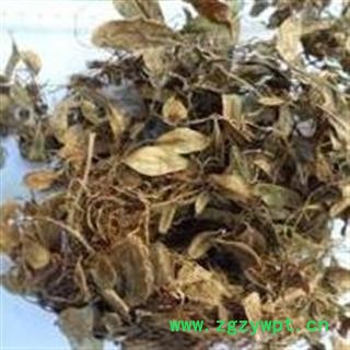 吉康药业抱石莲 镜面草 石瓜子 地连钱 金龟藤图2