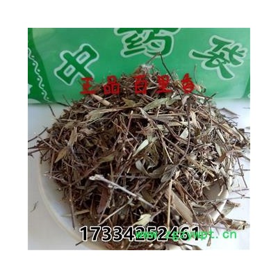 中药材百里香 百里香 地椒草  长藤草 地香 花椒堆 拦金