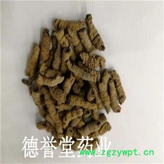 德誉堂药业巴戟天 中选 巴戟天 产地 广东图2