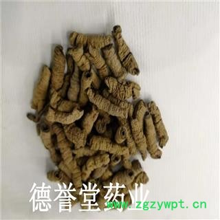 德誉堂药业巴戟天 中选 巴戟天 产地 广东图4