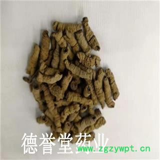 德誉堂药业巴戟天 中选 巴戟天 产地 广东图3