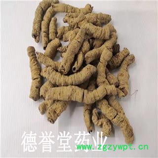 巴戟天 抽芯巴戟天大肉 巴戟肉 肉肥厚润 各种规矩 各种价格 产地 广东省肇庆市端州区图3