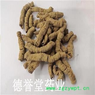 巴戟天 抽芯巴戟天大肉 巴戟肉 肉肥厚润 各种规矩 各种价格 产地 广东省肇庆市端州区图4