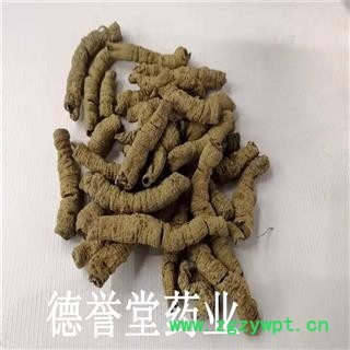 巴戟天 抽芯巴戟天大肉 巴戟肉 肉肥厚润 各种规矩 各种价格 产地 广东省肇庆市端州区图2