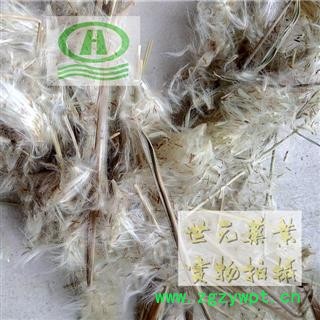 世元药业 白茅花 正品 别称-白毛花 菅花 茅花 茅盔花 茅针花 真品图2