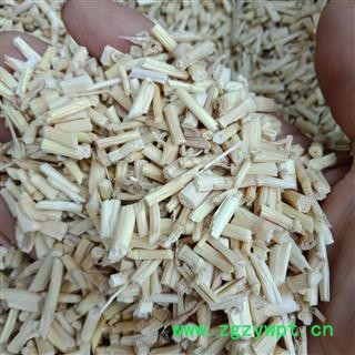 白茅根 茅根 山东 大货 产地直销 货好价优图3