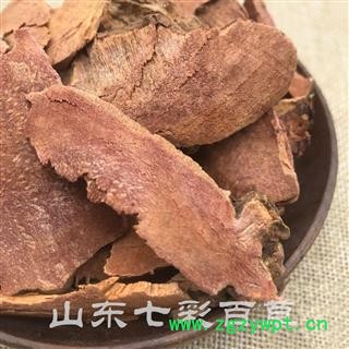 菝葜 金刚藤 红土茯苓 产地 广西壮族自治区图3