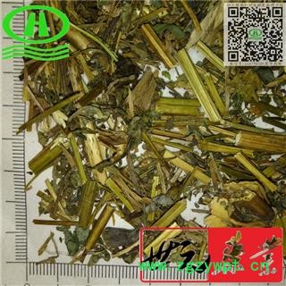 世元药业 白屈菜 天然 断肠草 土黄连 牛金花 八步紧 大茶药 大炮夜 野蔓【全品除尘中药】图2