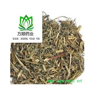 白屈菜统段  质量好 价格低 产地直销  产地 湖北省