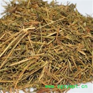 吉康药业 百蕊草  百乳草 细须草 青龙草图2