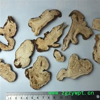 白术 无硫选装新货纯干精品好药 尽在七彩百草图4