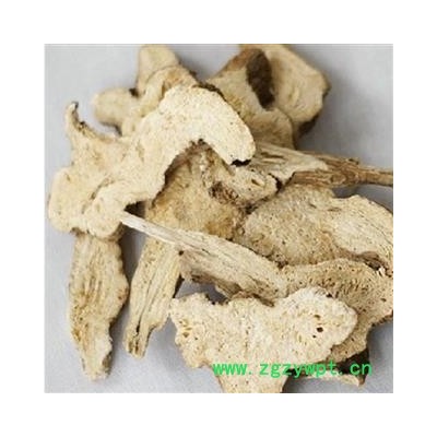 白术1000克 生白术