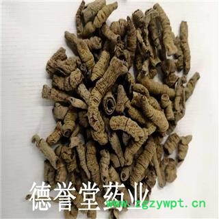 德誉堂药业巴戟天 选  巴戟天 产地 广东省 量大从优图2