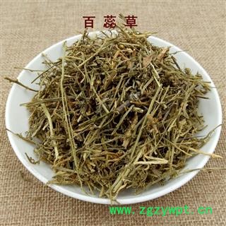 煜庭药业 百蕊草 百乳草 小草 细须草 青龙草图3