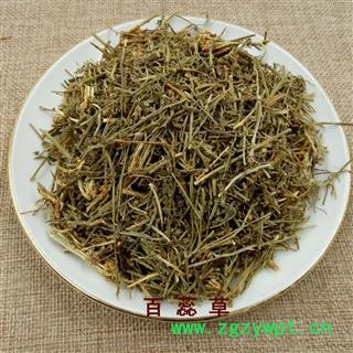 煜庭药业 百蕊草 百乳草 小草 细须草 青龙草图2